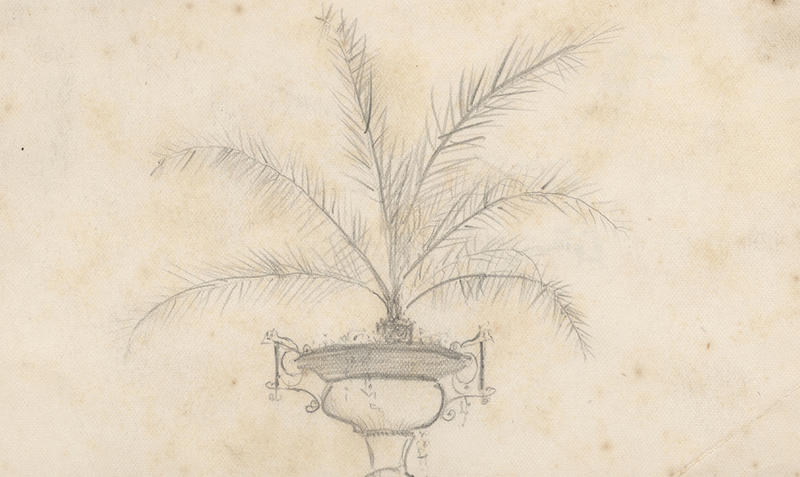 Pencil sketch, ornate vase