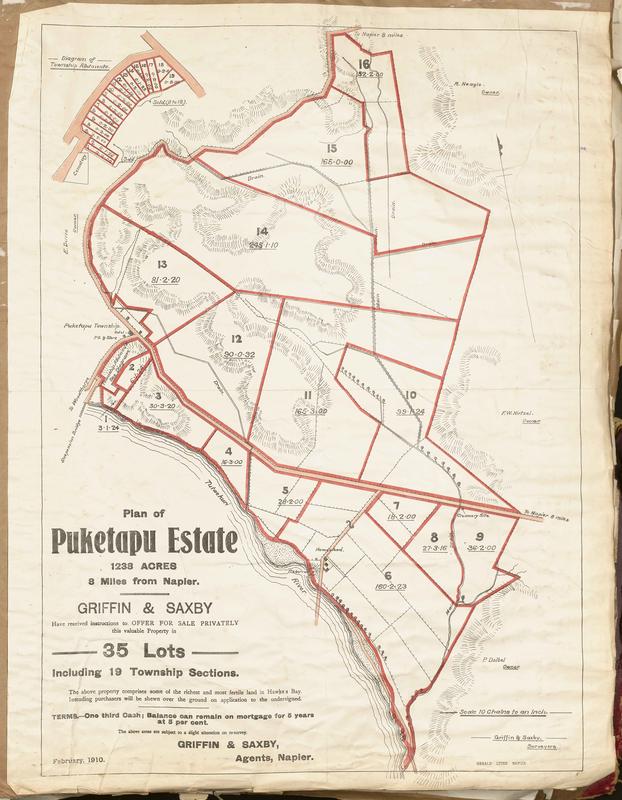 Plan, Puketapu Estate land for sale MTG Hawkes Bay