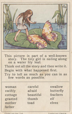 Teaching card, Water lily leaf