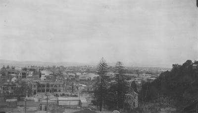 Business area of Napier from Bluff Hill