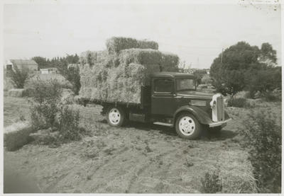 Noel Fraser's property and truck, Greenmeadows, Napier