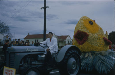 Hastings Blossom Festival, Ferguson tractor towing fish float, 3rd Prize