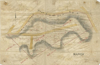 Map, Napier sections; Lyndon, Edward; 2018/4/3