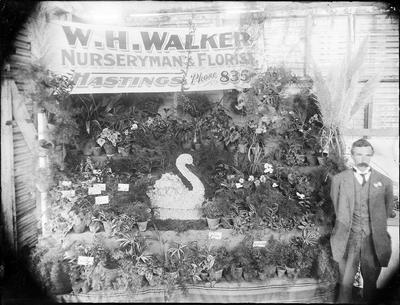 W H Walker, Nurseryman and Florist