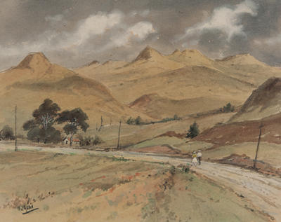 Collection of Hawke's Bay Museums Trust, Ruawharo Tā-ū-rangi, 66/272