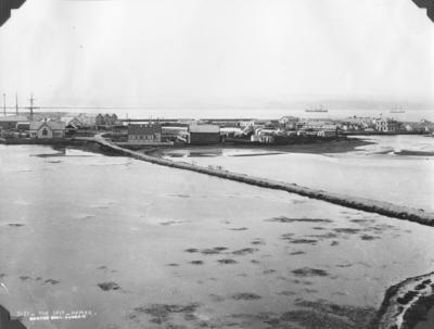 The Spit, Napier; Burton Brothers; 56/28
