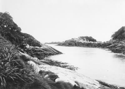 Snares Island, Boat Harbour