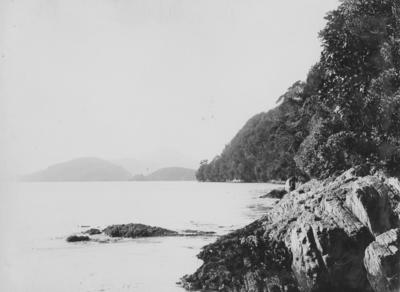 Pickersgill Harbour, Dusky Sound, Southland
