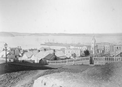 View from Bell Hill, Dunedin