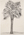Untitled - palm tree