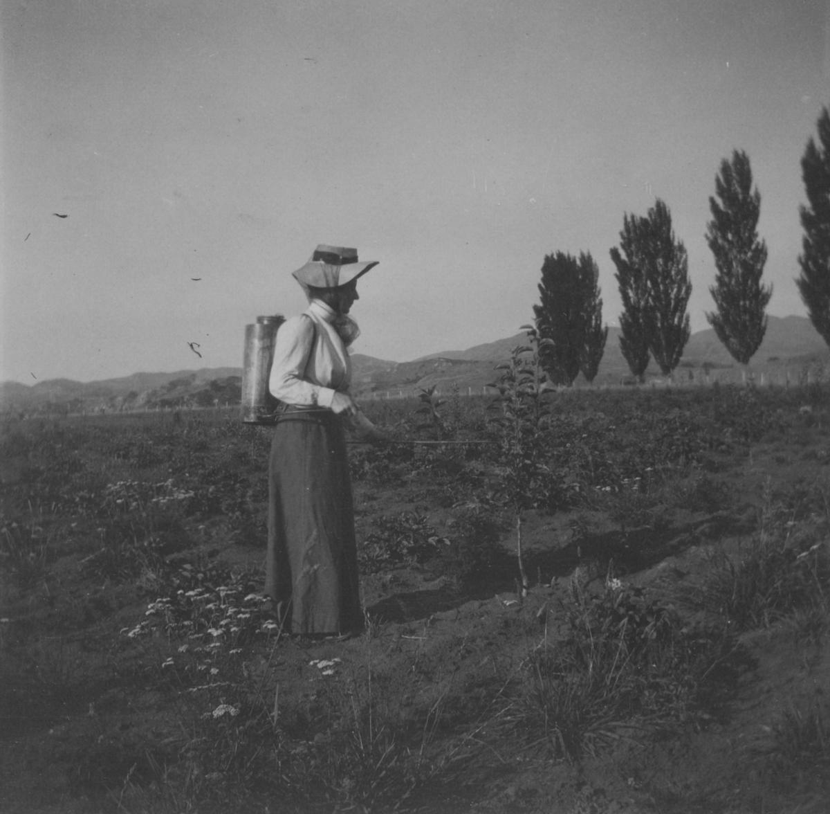 Bessie Spencer in orchard, Omatua, Rissington MTG Hawkes Bay