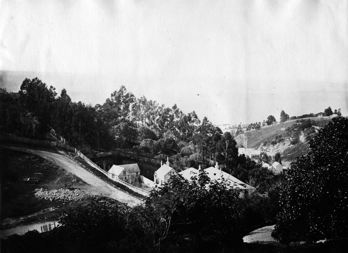 Clyde Road and Shakespeare Road, Napier MTG Hawkes Bay