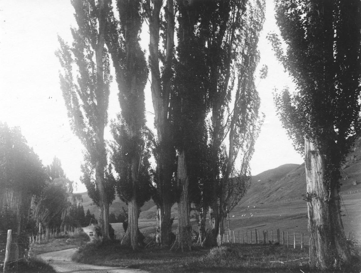 Road to Dartmoor, Hawke's Bay MTG Hawkes Bay