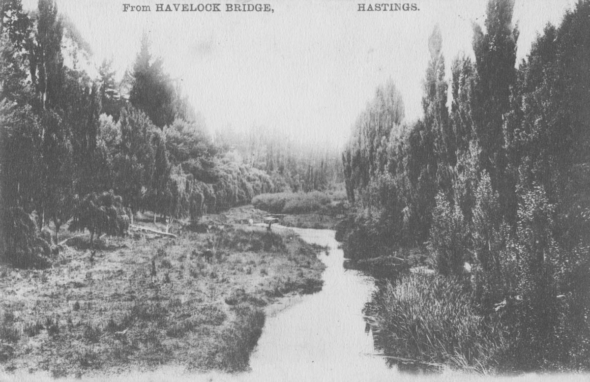 View from the Havelock North Bridge MTG Hawkes Bay